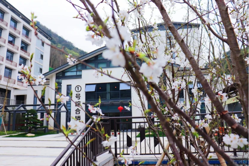 1721357730667588.webp image.webp