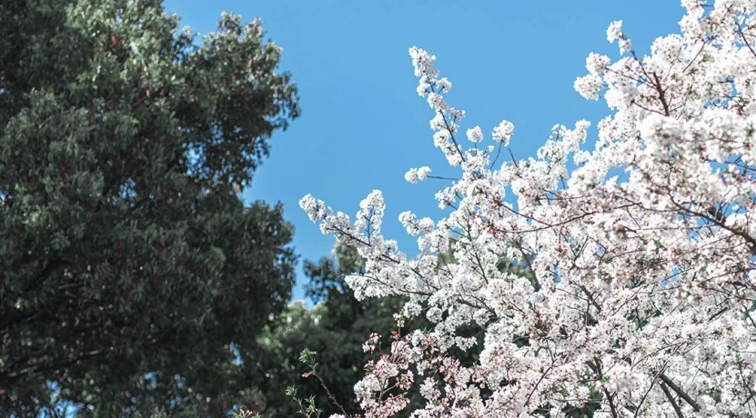 1721359190410910.webp image.webp